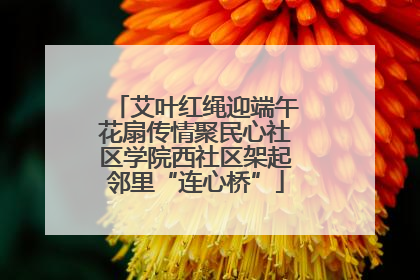 艾叶红绳迎端午花扇传情聚民心社区学院西社区架起邻里“连心桥”